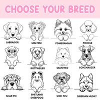 Cat & Dog Personalised Christmas Ornament