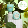 Miss Pollard Stamp Bundle